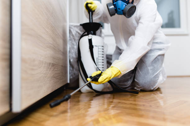 Best Pest Control for Homes  in Lazy Mountain, AK