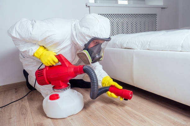 Best Cockroach Control Services  in Lazy Mountain, AK