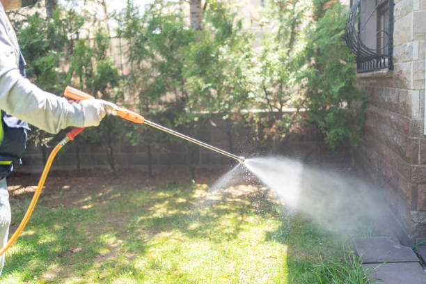 Best Pest Prevention Services  in Lazy Mountain, AK